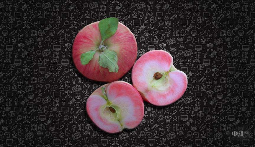 Cорт яблук з м'якоттю рожевого кольору