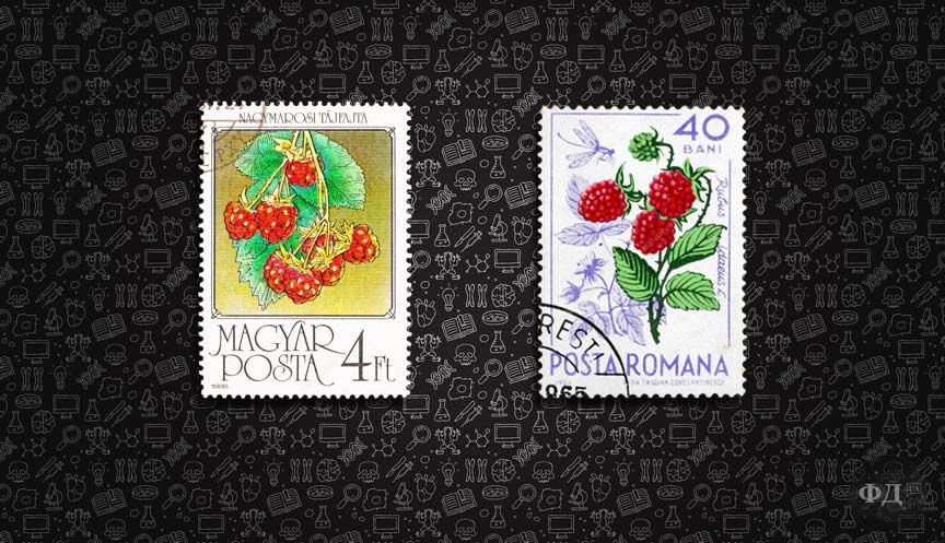Малини на поштових марках