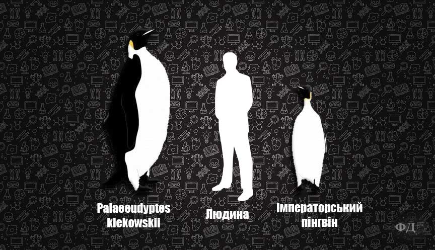 Доісторичний пінгвін